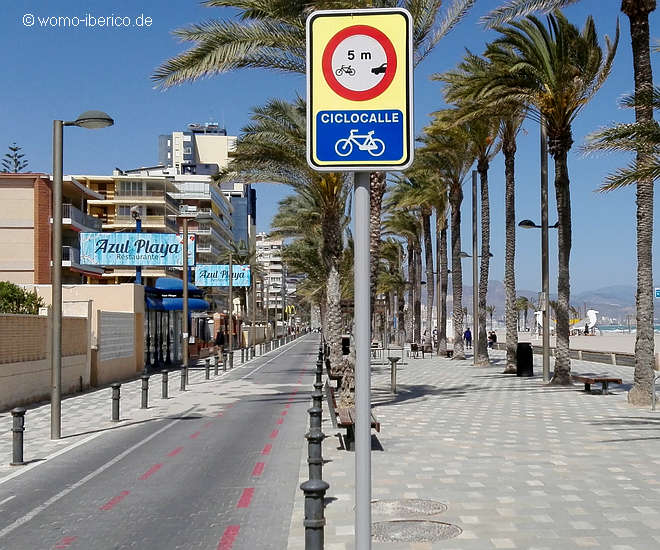 2021 Velocidad 20