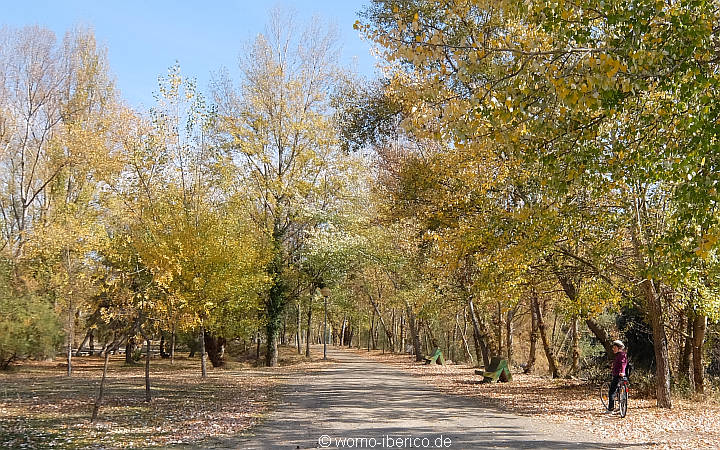 20171101 VV Cidacos 2
