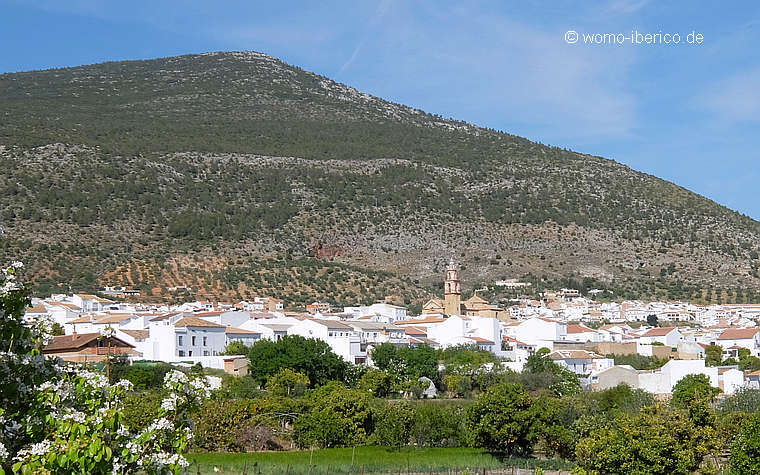 20190326 Algodonales Tele