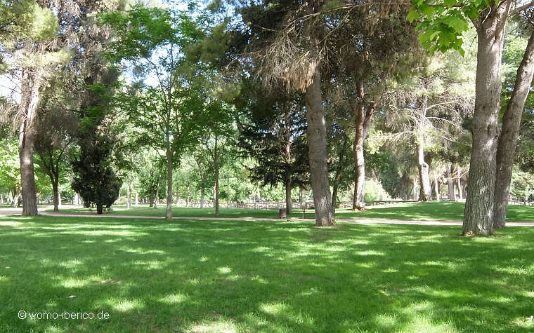 20210604 AlcazarSanJuan Park1