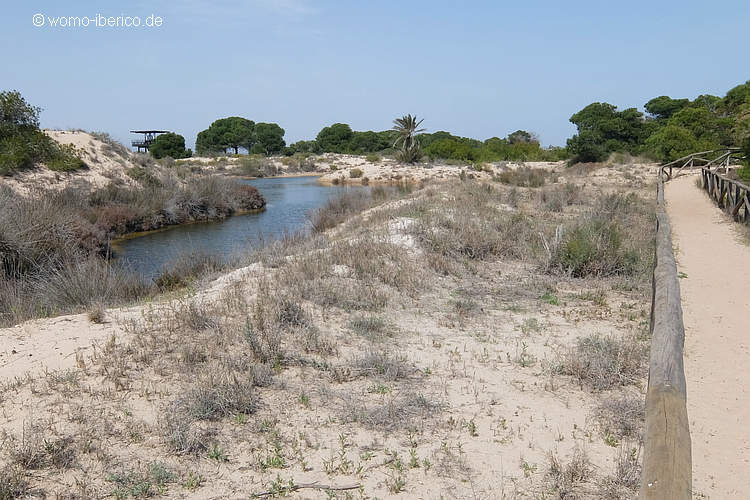 20220411 LaMarina Natur