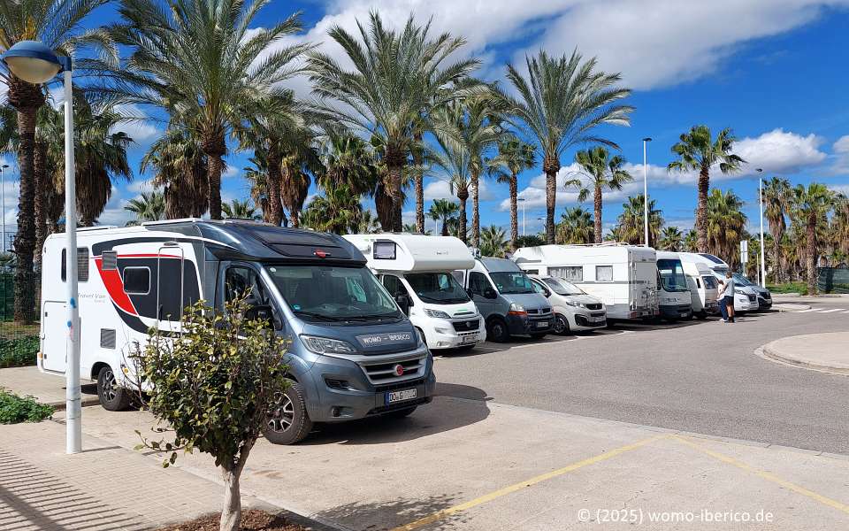 20250310 Alboraya Patacona Stp