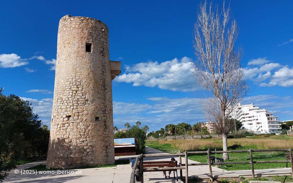 20250315 TavernesValldigna Torre
