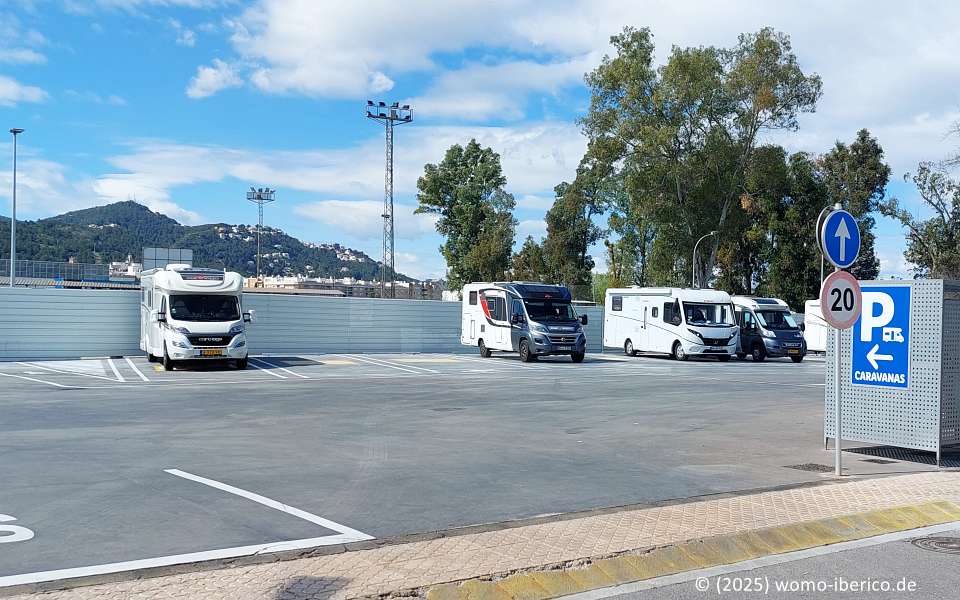 20250316 Oliva PP Lidl