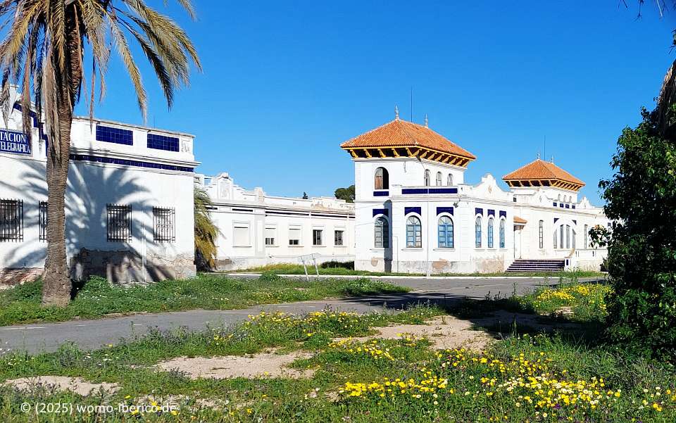 20250324 LosAlcazares Militar1