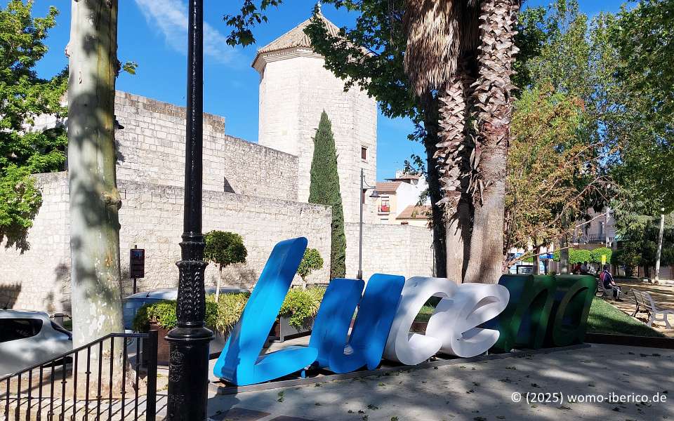 20250427 Lucena 5