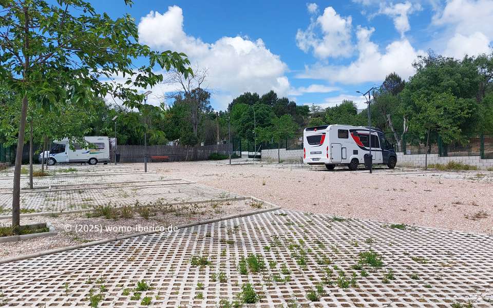 20250504 Montemayor Stp
