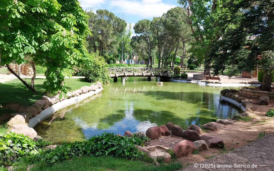 20250507 Villarrobledo Park