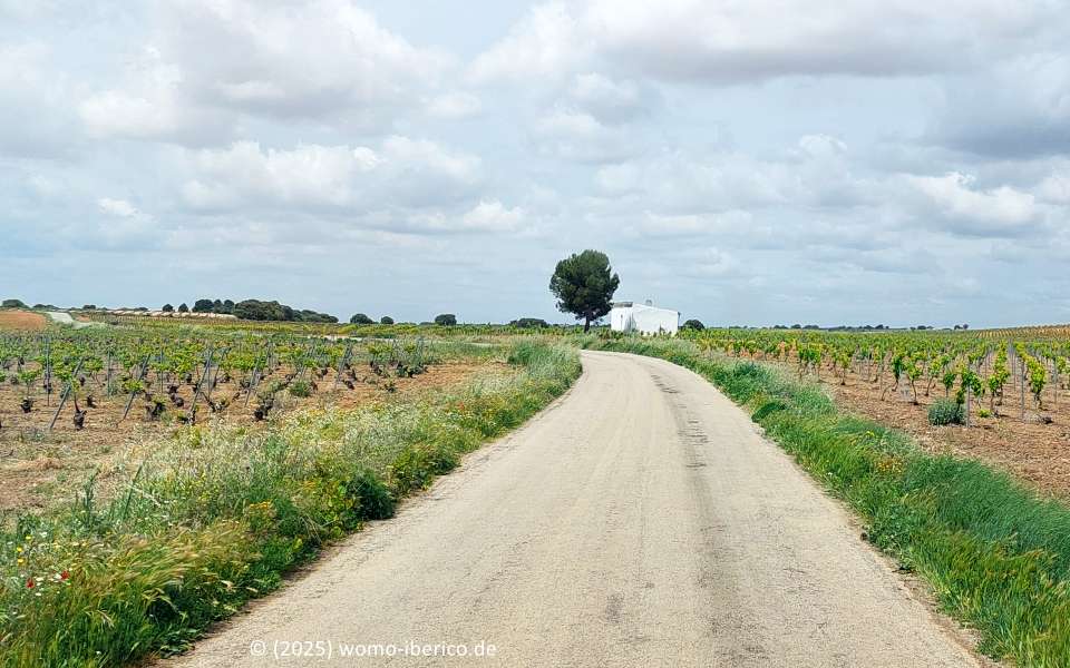 20250508 LaMancha