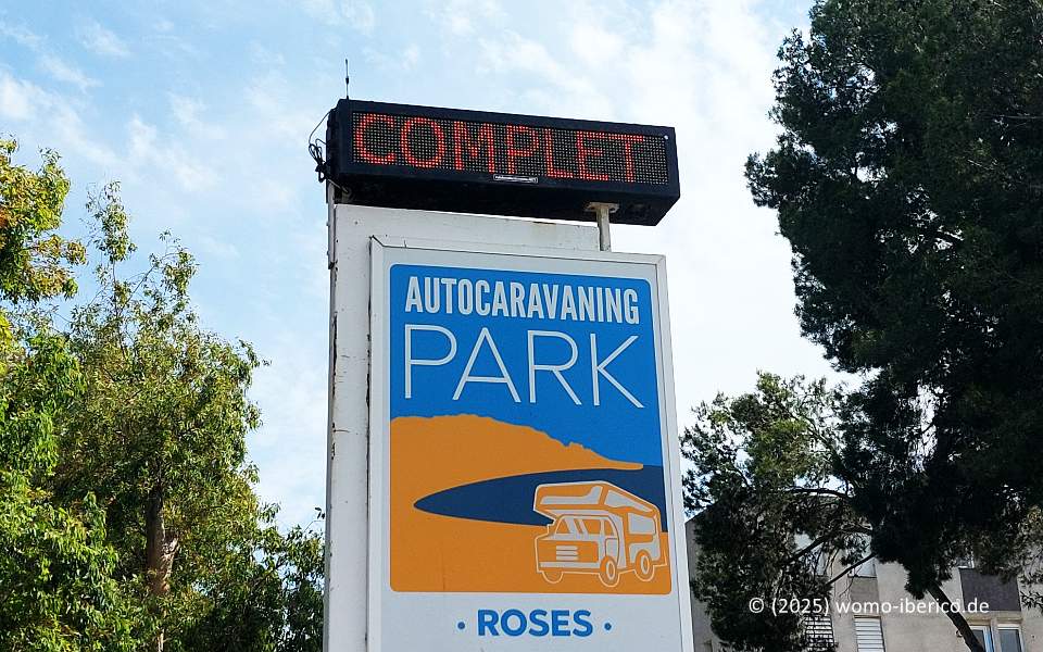 20250606 Roses Stp Full