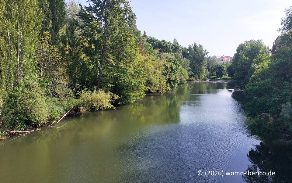 Ansoáin, Río Arga 20260426 Ansoain RioArga
