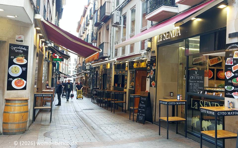 20260430 Logrono Laurel