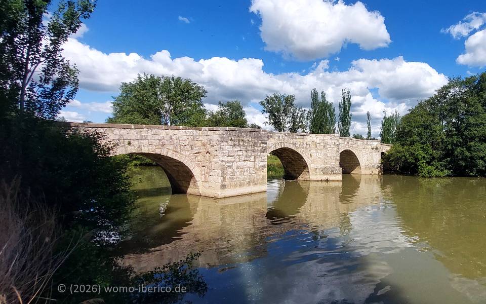 Husillos, Río Carrión 20260507 Husillos Puente