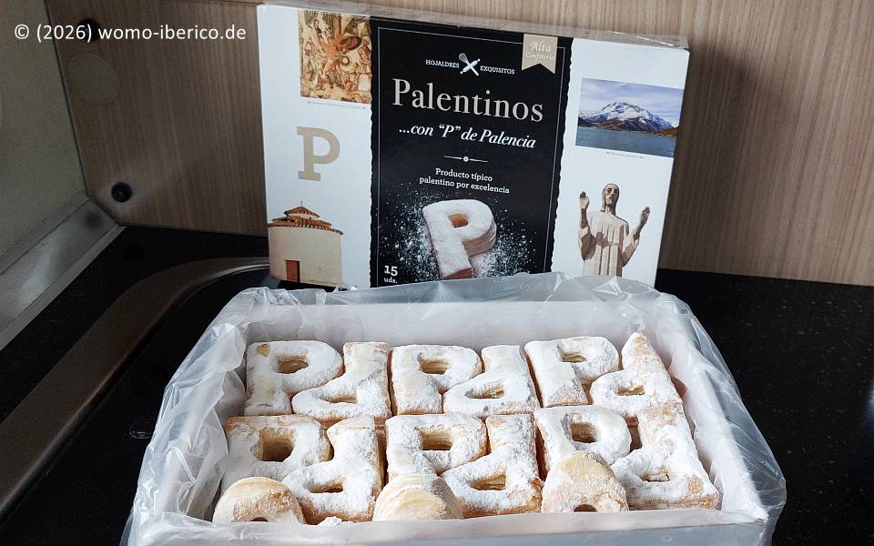 Palencia, "Palentinos" 20260509 Palencia Palentinos