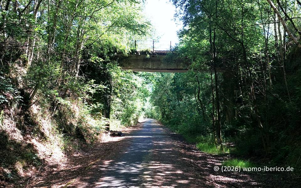 Vía Verde de Compostela-Tambre-Lengüelle 20260610 Ordes VV 2