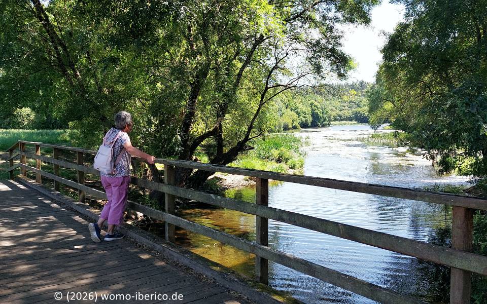 Outeiro de Rei, Río Miño 20260611 OuteiroRei Rio