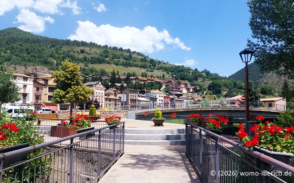 Martinet 20260623 Martinet