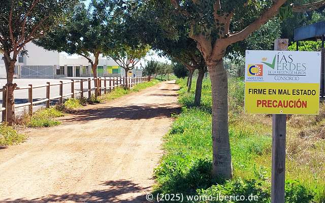VV CampoCartagena2